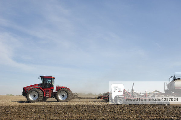 Farmer preparing his field for seeding near Mundare  Alberta  Canada