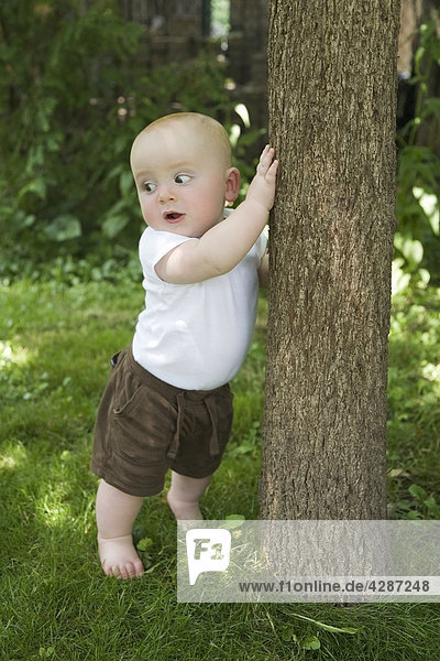 Baby boy standing up by a tree  Ontario
