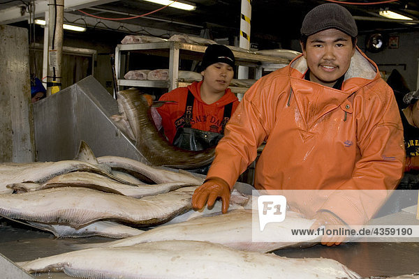 AK Native Aluet Mann Prozesse Heilbutt @ Atka stolz Seafoods Atka AK SW