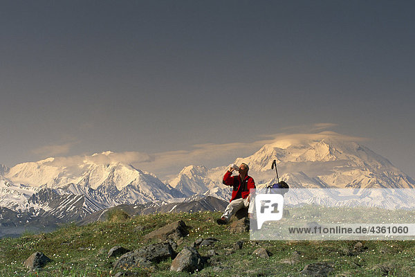 Man Hiking on Tundra w/Mt McKinley Denali NP IN AK Summer