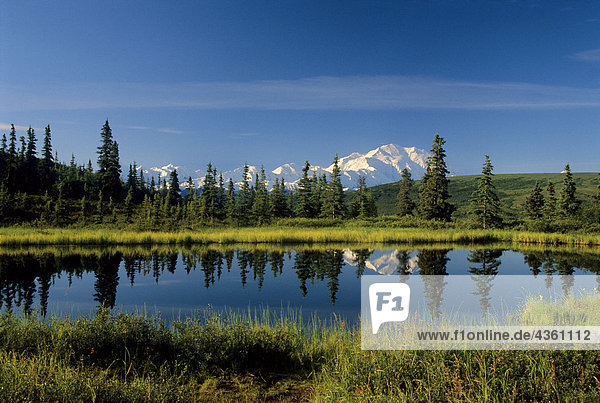 Nationalpark Spiegelung Denali Nationalpark Mount McKinley Alaska Nugget Teich