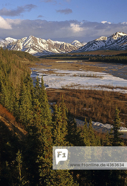 Alaskakette Landschaft Denali NP Sommer