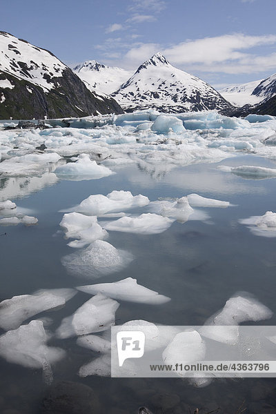 Eisberge schwebend in Portage Lake mit Mount Bard im Hintergrund  South Central Alaska