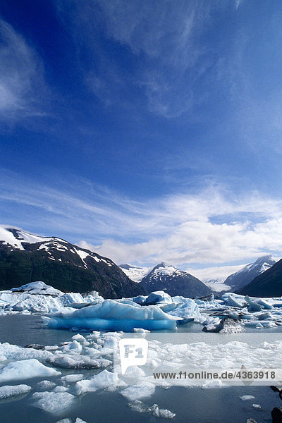 Eisberge Portage Lake Portage-Gletscher SC AK
