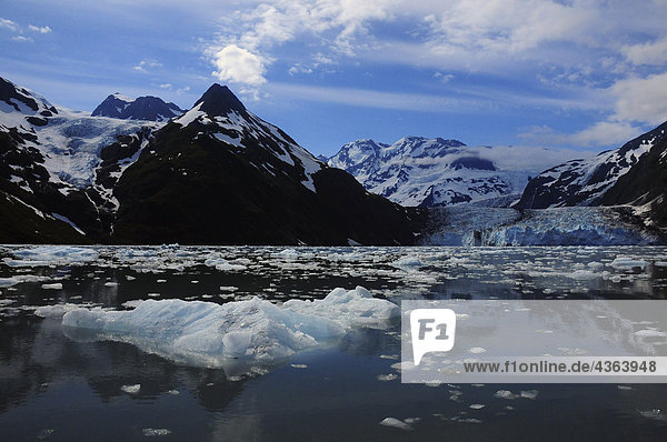 Szenische Ansicht der Überraschung Gletscher im Prince William Sound  Alaska