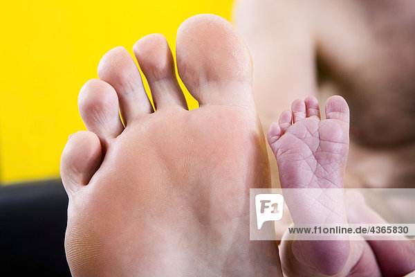 Newborn Infant Fuß vor Mannes Fuß zum Größenvergleich liegend auf einer weißen Decke Alaska USA gestellt