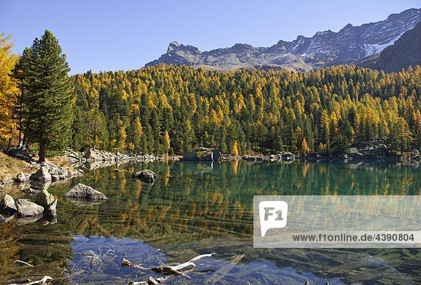 Der SaoseoSee und farbige Lärchen in der Val da Camp