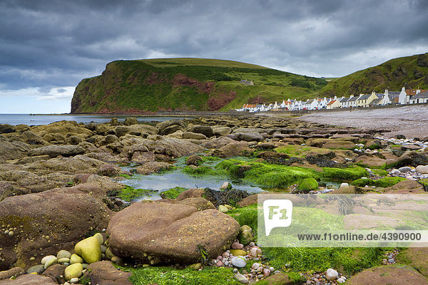 Pennan  Great Britain  Scotland  Europe  sea  coast  tides  low  ebb  tide  rock  cliff  algae  village  houses  homes