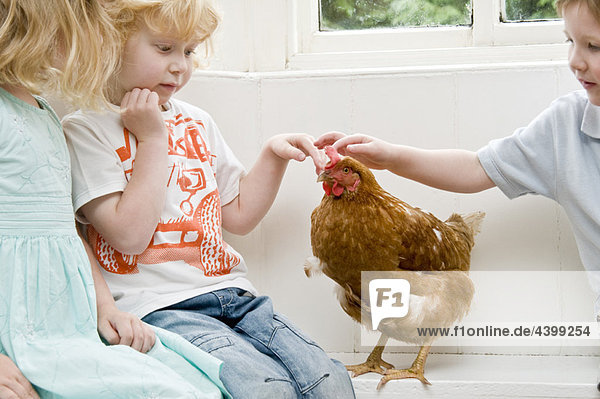 Kinder streicheln ein Huhn