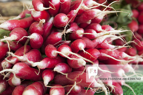 Red long radishes on a market
