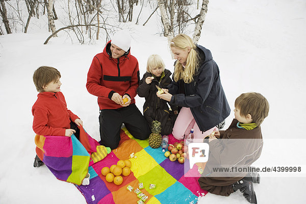 Winter picnic