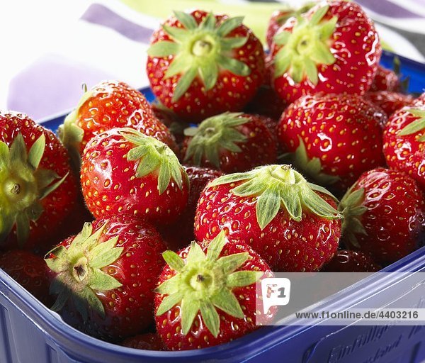Frische Erdbeeren in eine Schale aus Kunststoff