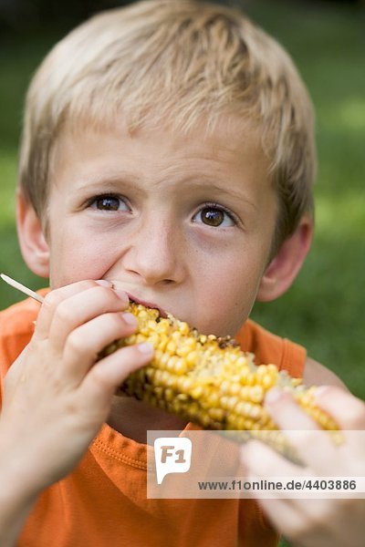 Kleiner Junge Essen Gegrillter Mais Maiskolben