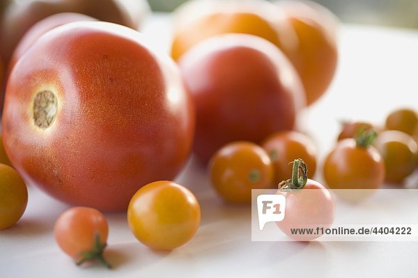 Verschiedene Arten von Tomaten