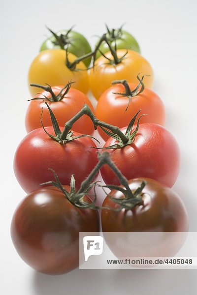 Cherry-Tomaten (verschiedene Farben)