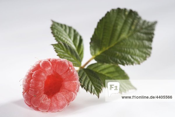 Himbeere mit Blatt