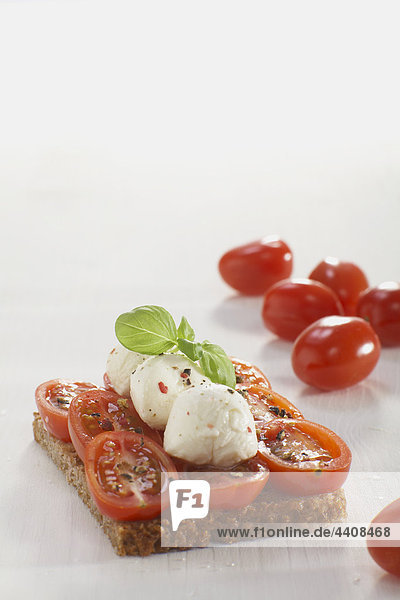 Tomato mozzarella sandwich on white background  close-up