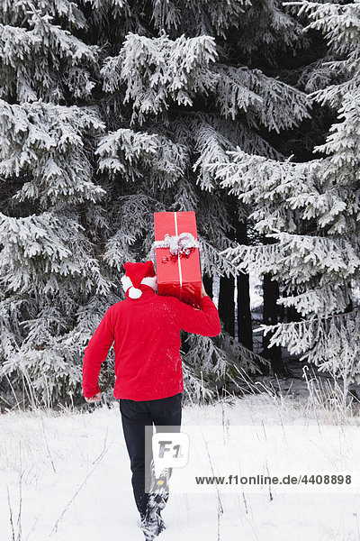Belgium  Wallonia  High Venn  Man carrying christmas present and walking in snow