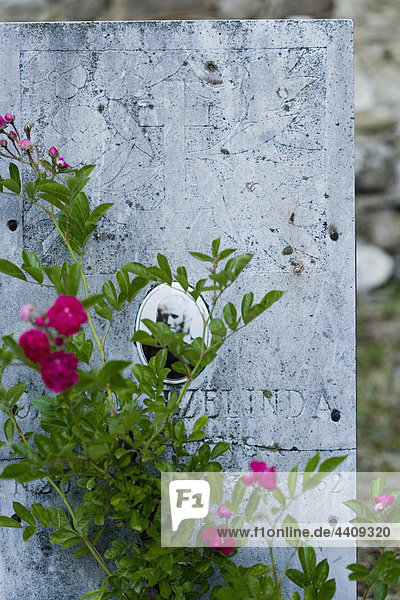 Italien  Cavaleto  Blumen auf Grabstein