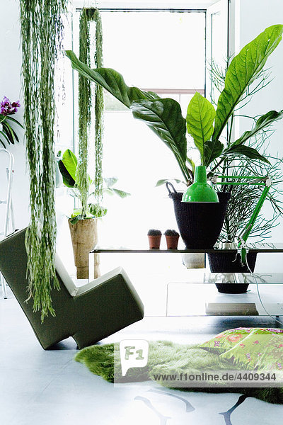 Modernes Wohnzimmer mit Pflanzen