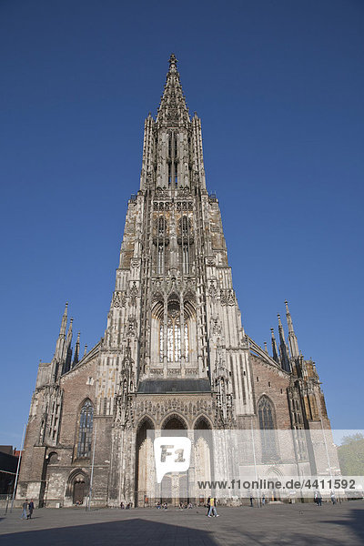 Deutschland  Ulm  Blick auf die ulmer Münster Kirche