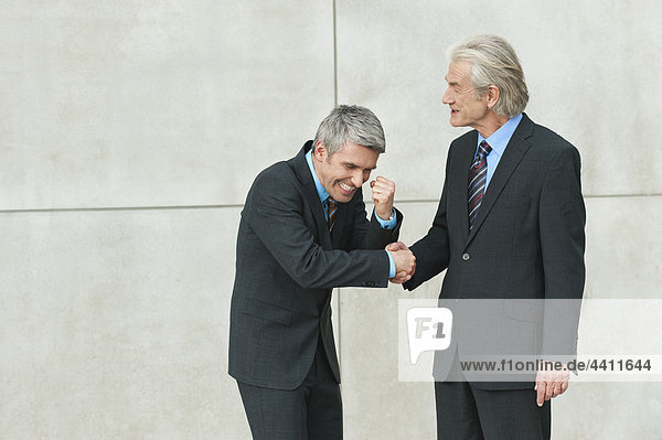 Germany  Hamburg  Businessmen shaking hands