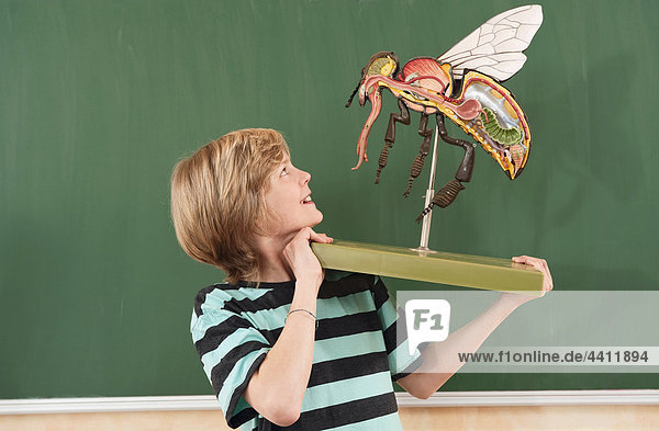 Boy(12-13) holding and looking at fly model  smiling