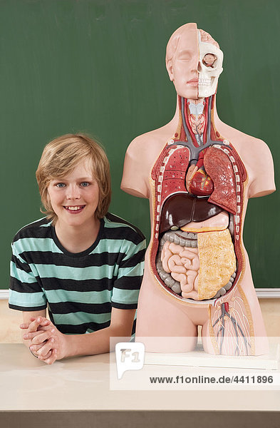 Boy (12-13) with human organs model  smiling  portrait