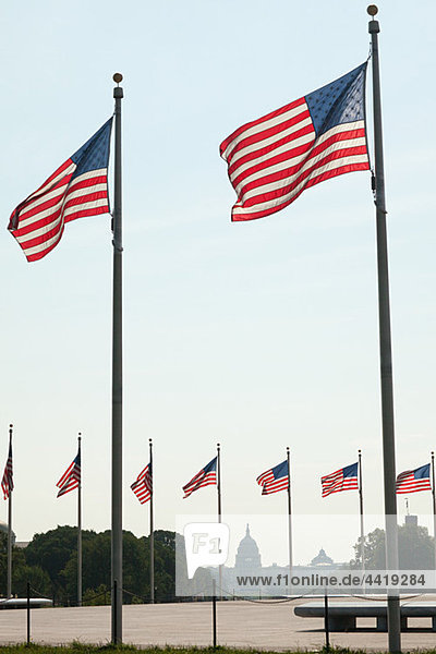 Amerikanischen Flaggen und Capitol Gebäude  Washington DC  USA