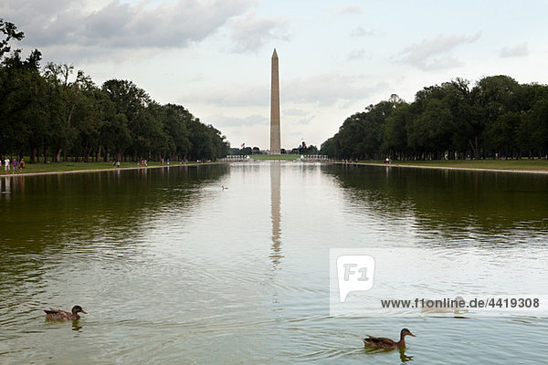 Washington Monument und Reflexionsbecken  Washington DC  USA