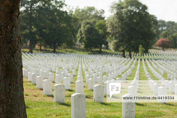 Arlington Nationalfriedhof  Virginia  USA