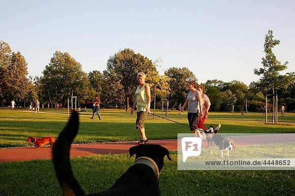 People and dogs walking at Letna Park  Prague  Czech Republic
