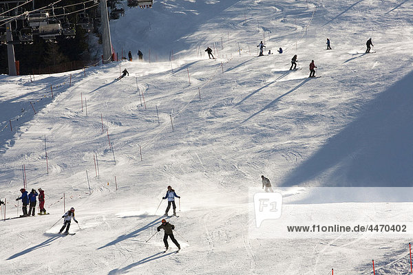 Italy  Lombardy  Bormio  ski slopes