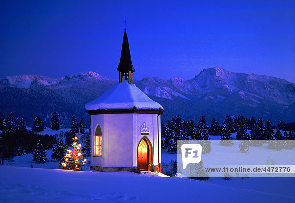 Schnee Weihnachten 2022 Alpen Kapelle, Weihnachtsbaum, Alpen im winter BILMCPW94792 AGFFOTO