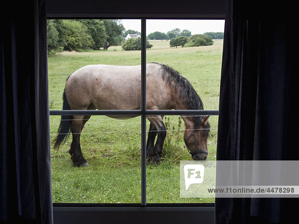 Blick durchs Fenster auf das Pferdefutter