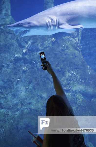 Eine Frau  die einen Hai in einem Aquarium fotografiert.