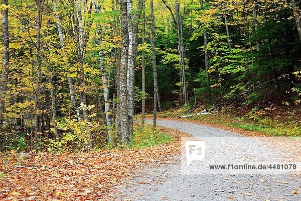 Tunnel Brook Road during the autumn months in Benton  New Hampshire USA