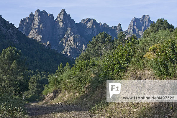 Korsika  Frankreich  Landschaft  Berg  Bavella Pass  Berg  Landschaft
