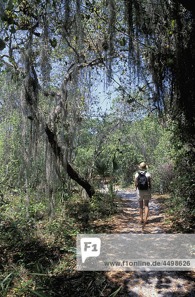 Youth Park  St. Augustine  Florida  USA  United States  America  woman  path  tree  nature