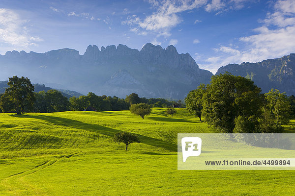 Sax  Switzerland  canton St. Gallen  Rhine Valley  meadow  trees  mountains  cross mountains  Alpstein