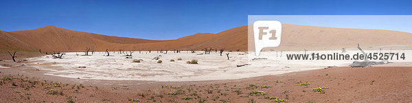 Dead Vlei in Naukluft National Park  Namib Desert  Namibia  panorama