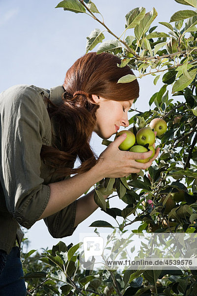 Junge Frau riecht frische Äpfel