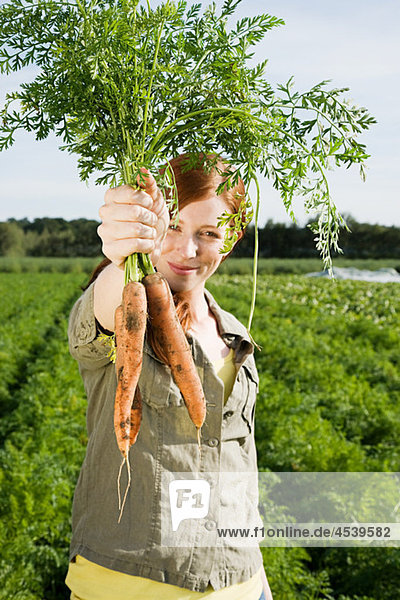 Young woman harvesting carrots in field