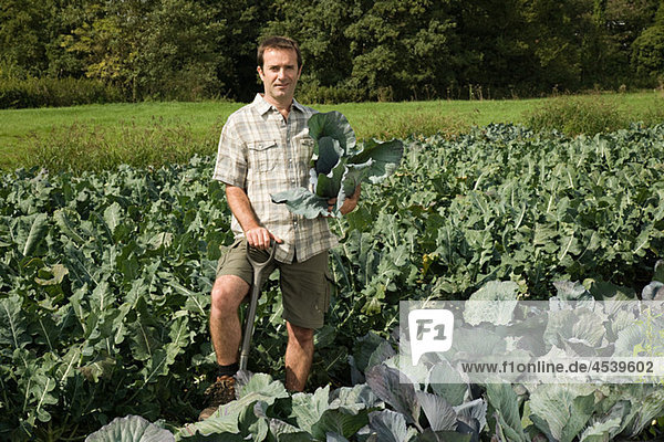 Man standing in cabbage field