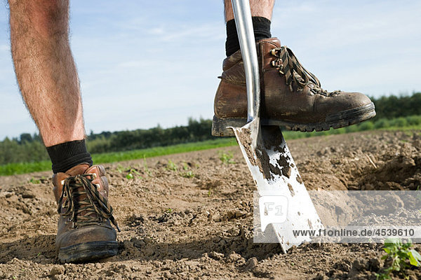 Farmer digging in field
