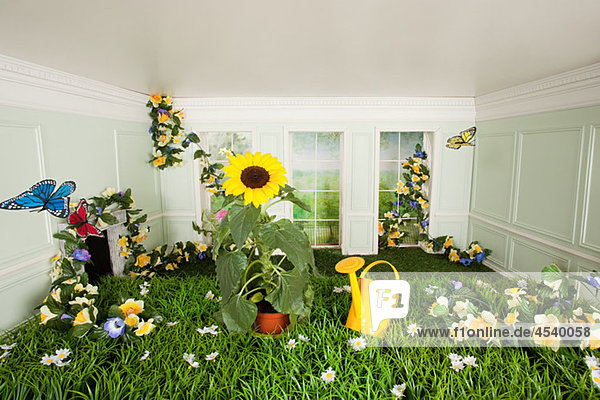 Gras  Blumen und Schmetterlinge in kleinem Raum