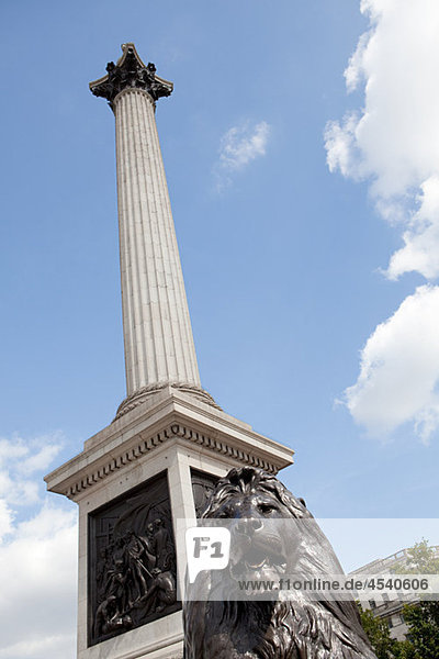 Lion statue and Nelson's column  London