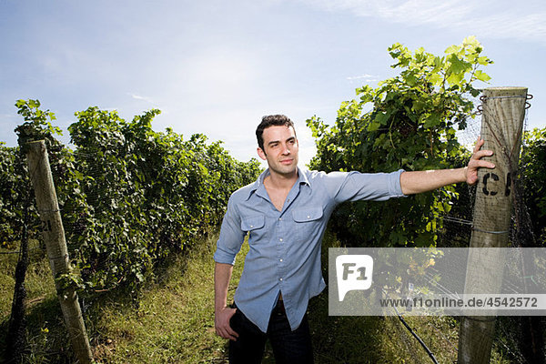 Young man in vineyard