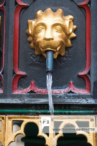 Detail on a fountain in Wernigerode  Harz  Germany  Europe
