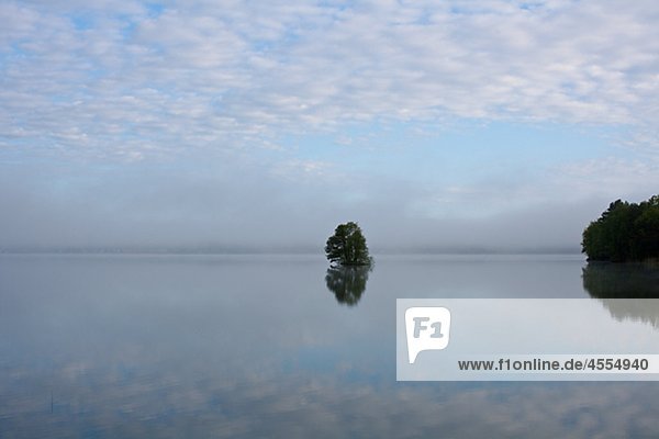 Scenic landscape with water and lonely tree